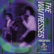 King Biscuit Flower Hour: The Waitresses