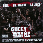 Gucey Wayne