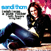 I Wish I Was a Punk Rocker (With Flowers in My Hair)
