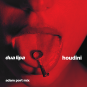 Houdini (Adam Port Mix) cover