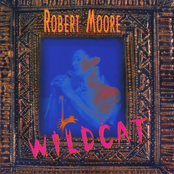 Wildcat