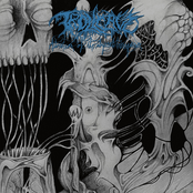 Adoration Of The Abyssal Trespasser