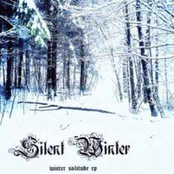 Winter Solitude