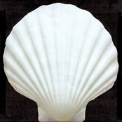 L'AMANTE INFELICE