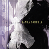 Sleepwalk cover