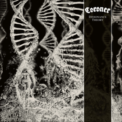 Dissonance Theory