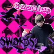 2 Swords 1 Cup