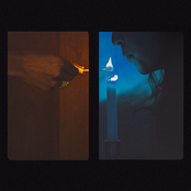 Forager – Split Lip