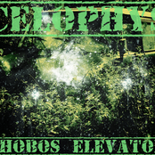 Phobos Elevator