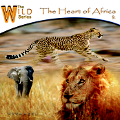 The Heart of Africa