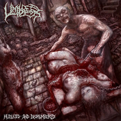 Mutilated And Dismembered