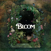 Raynes – Bloom