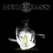 Chrysalis' Gold