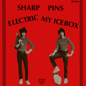 Electric My Icebox
