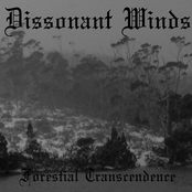 Forestial Transcendence