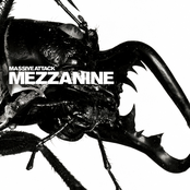 Teardrop (feat. Elizabeth Fraser)