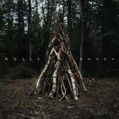 Close All the Blinds, Lock All the Doors, Say No One's Home - EP