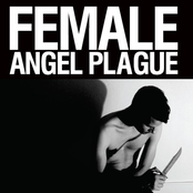 Angel Plague