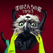 澤田さんちの猫