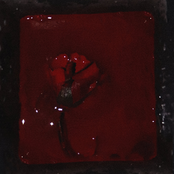 Velvet Room