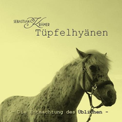 Sebastian Krämer – Tüpfelhyänen - Die Entmachtung Des Üblichen