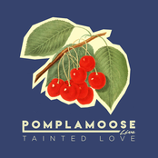 Tainted Love de Pomplamoose