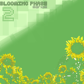 Blooming Phase 2
