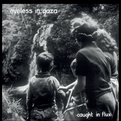 Caught in Flux