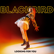 Looking For You