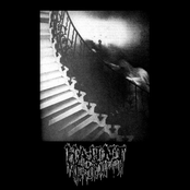 Haunt
