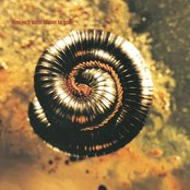 Album art for Closer to God by Nine Inch Nails