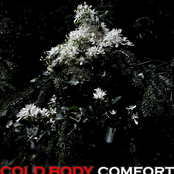Comfort