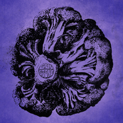II
