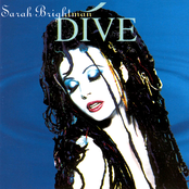 Dive cover