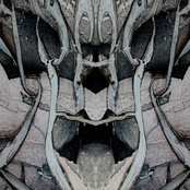 MAW
