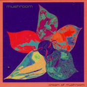 Cream Of Mushroom