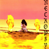 Necropsy