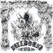 Fury Never Dies