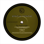 Sidewinder / The End (Remix)