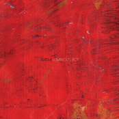 Luminous Rot