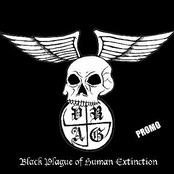 Black Plague Of Human Extinction