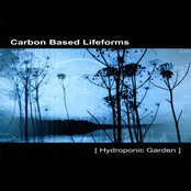 Hydroponic Garden cover