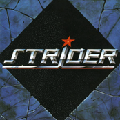 Strider