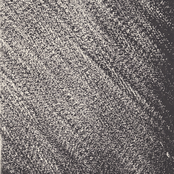 meadowlark (premonition)