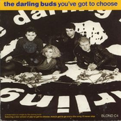 You've Got to Choose cover