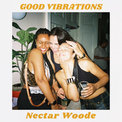 Nectar Woode – Good Vibrations