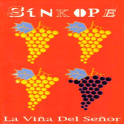 La Viña Del Señor
