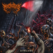 Disease