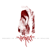 Wounds In The Age Of Healing