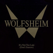 It's Not Too Late (Don't Sorrow)